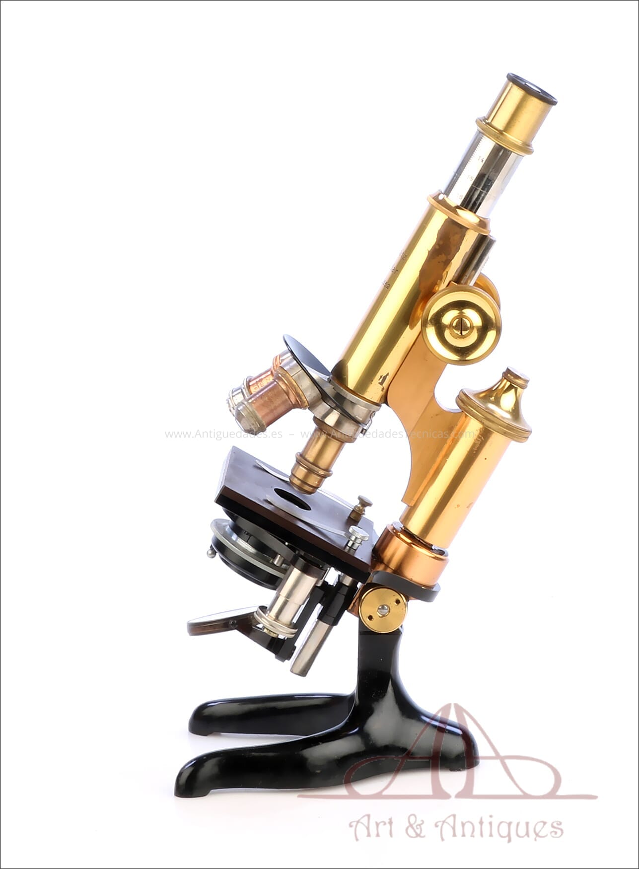 Microscopio Antiguo Ernst Leitz Wetzlar. Alemania, 1913